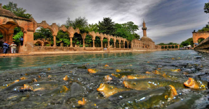 Güneydoğu Anadolu (Nrw Kalkışlı)