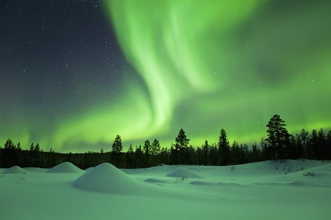 Kuzey Işıkları & Lapland