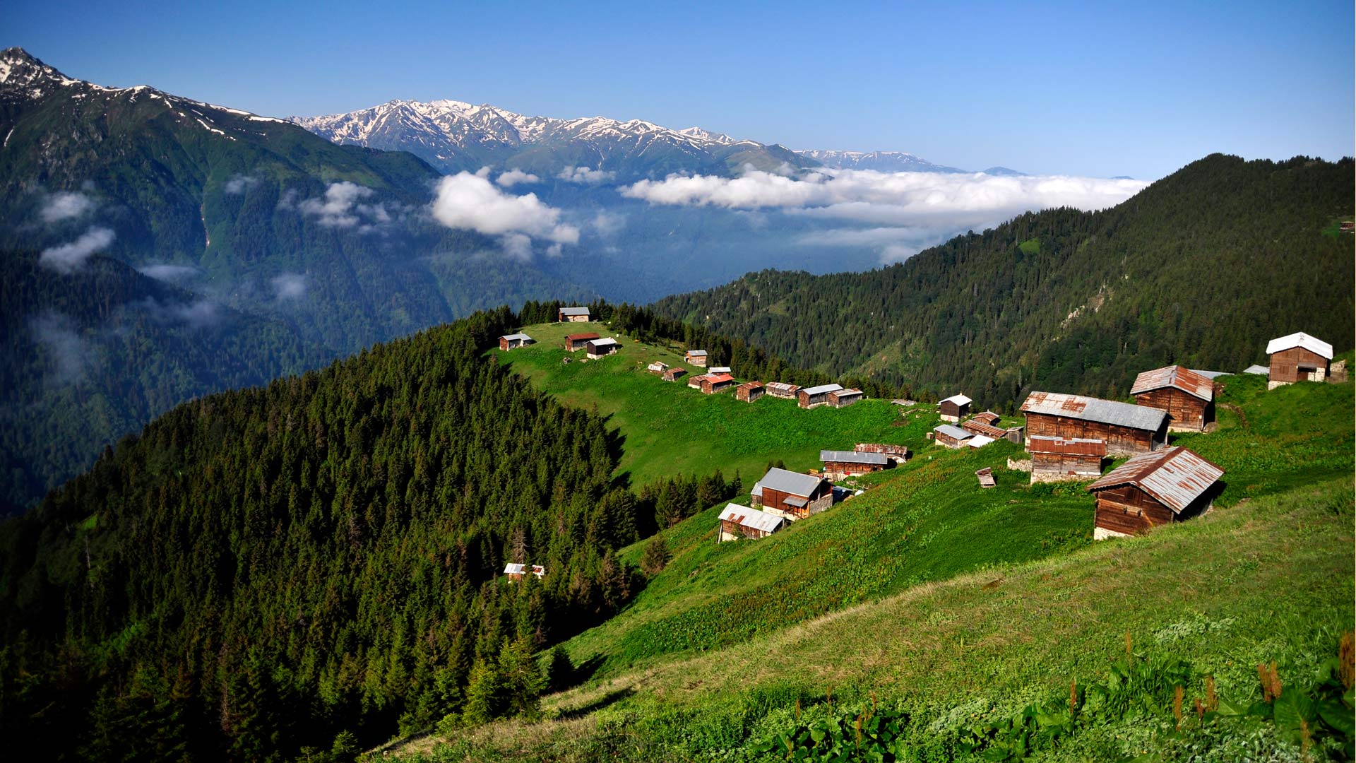Doğu Karadeniz Yaylalar